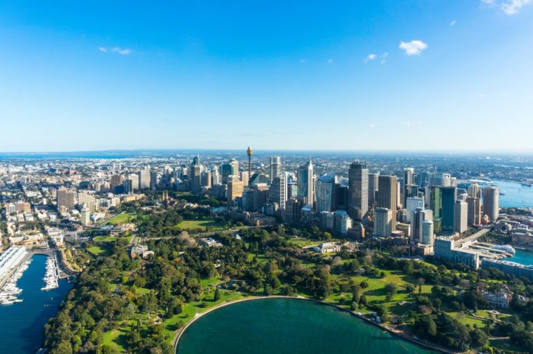 aerial view of city with trees