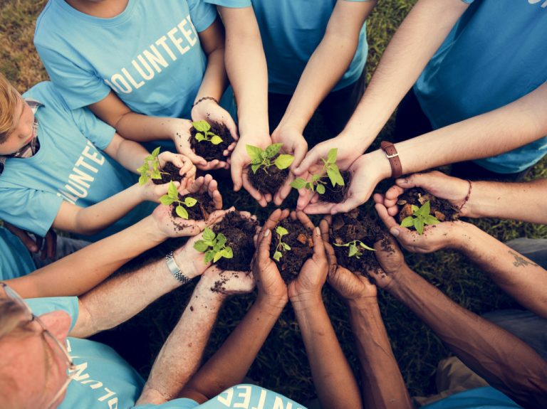 volunteers holding plants