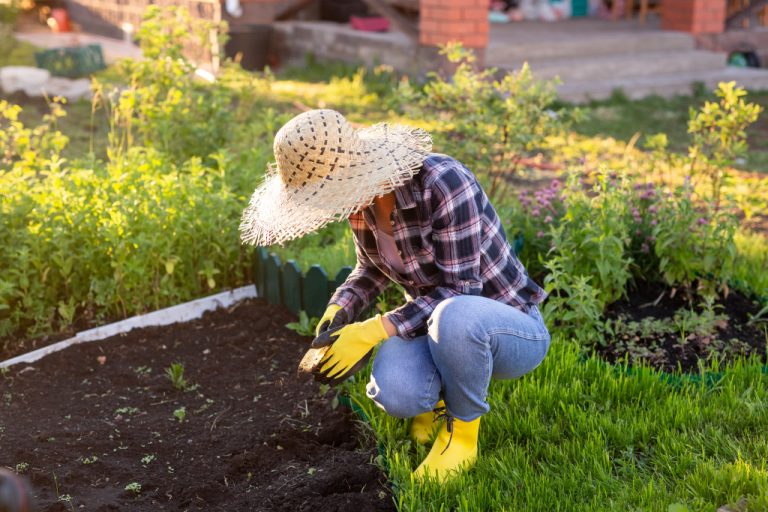 A homeowner starting a garden