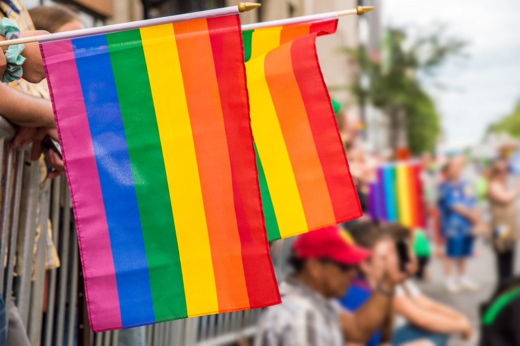 rainbow flag gay pride