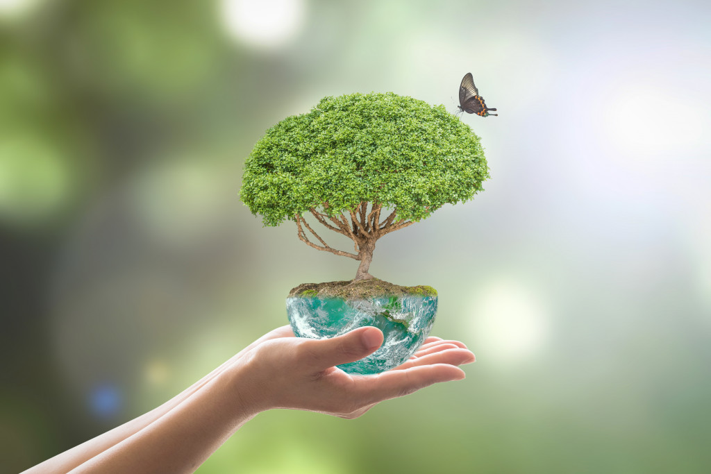 symbol of sustainability with one half earth with tree and butterfly on top held by a hand