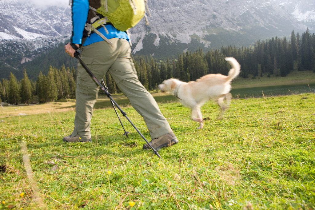 A man hiking with his dog